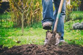 Check spelling or type a new query. How To Remove Grass To Start A Garden And Not A Weedy Nightmare