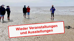 Mit der schutzstation watt erleben in hörnum. Schutzstation Wattenmeer Bietet Wieder Wattwanderungen An