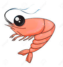 Über 7 millionen englischsprachige bücher. Cartoon Galery Net Cartoon Shrimp Drawing