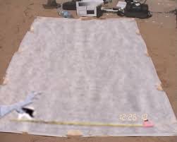 Image result for Light Spectrum Blue 1991 Shadow