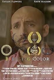 Bridging Color (Short 2017)