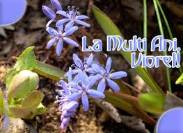 Sa te pupe norocul si sa ai numai zambete si soare in calea ta! Felicitare De Florii Cu Mesajul La Multi Ani Viorel Diy And Crafts Crafts La Multi Ani