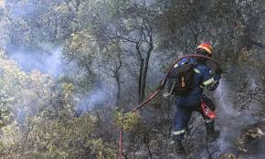 Υπό έλεγχο η φωτιά στη σαλαμίνα. Umqvylign2nb5m