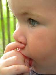 Alexia CARDINAL, 39 ans (LE RELECQ KERHUON)