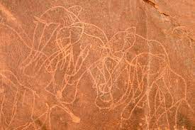 Berber man leading camel caravan in erg chebbi sand dunes in sahara desert. North Africa Sahara Algeria Tassili N Ajjer National Park Tadrart Neolithic Rock Art Rock Painting Of A Camel With Rider Es000842 Egmont Strigl Westend61