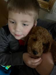 Love my boy, Cooper! 🩵🐾