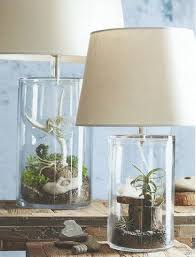 Terrarium Modish Store Glass Table Lamp Fillable Lamp Lamp