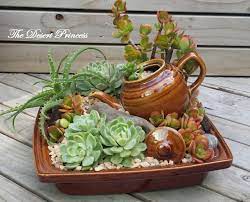 10 mini garden ideas most of the brilliant as well as beautiful succulent garden design succulents succulent display