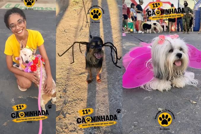 C&atilde;es usam fantasias e desfilam durante 11&ordf; C&atilde;ominhada em C&aacute;ceres