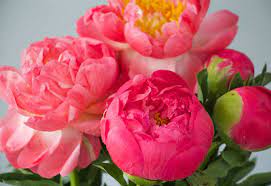 Anne provides brides in perth with elegant, beautiful and affordable wedding bouquets and flower arrangements. A Guide To Affordable Wedding Flowers Interflora