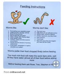 How to feed worms in garden. Mini Beasts Learning Links Worms Worm Farm Worm Composting Garden Compost