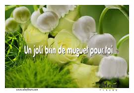 Avec les données sur les crimes et délits est fourni cette note, merci de la prendre en considération en observant les informations contenues dans ces pages. Saisons Le Muguet Du 1er Mai Bonheur Et Fete Du Travail Aloe Fleurs