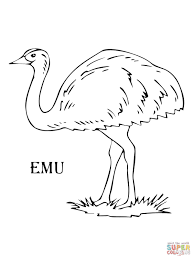 resultado de imagen emu para colorear coloring pages for kids animal coloriage champignons adultes zentangle