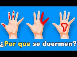 20 Ideas De Tunel Carpiano Cervicales Tunel Carpiano Estiramientos Ejercicios