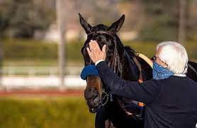 Medina spirit came from humble beginnings as his yearling price indicated. Baffert On Medina Spirit He S Always Going To Be Tough