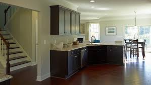 Hilton Arbormere Traditions Collection Huntersville North Carolina D R Horton New Homes Home House