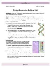 Buildingdnase 1 Name Caroline Allen Date Student Exploration Building Dna Vocabulary Double Helix Dna Enzyme Lagging Strand Leading Strand Mutation Course Hero
