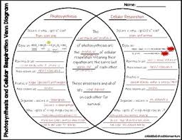 cellular respiration and photosynthesis venn diagram kozen