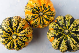 Image result for carnival acorn squash