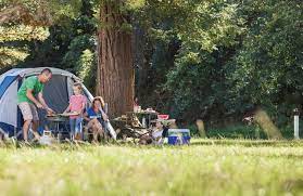 Best Campgrounds Near Sydney Nsw National Parks