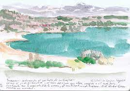 Buy southwest cactus desert t shirt: Windsor Green Urban Sketchers