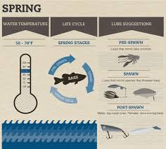 Bass Fishing By Season Fix Com