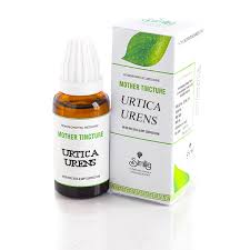 Image result for Urtica urens
