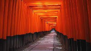 On the left side of each saffron coloured torii is the name of the company that donated it while the date is mentioned on the right side. Kyoto Travel Fushimi Inari Shrine Fushimi Inari Taisha