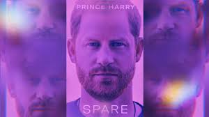 Prince Harry Reveals He Used Psychedelics to Cope with Grief