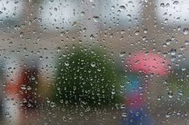 Onweer Regen En Harde Windstoten Plagen West Betuwe Toer Rivierenland Gelderlander Nl