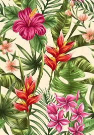 We did not find results for: Tropical Floral Seamless Pattern With Plumeria And Hibiscus Flowers Royalty Free Cliparts Vectors And Stock Illustration Image 45582859