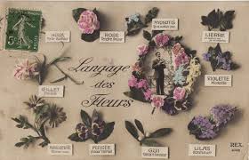 Epingle Par Lori Palen Sur Floriography Myosotis Lilas Fleurs