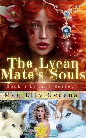 Hi! I hope this will catch your attention😊 Would you read a story with...  A powerful witch with twin royal mates An evil step-sister A wicked warlock  and a bunch of loyal