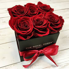 Always A Good Decision Classy Red Infinity Roses Www Theroyalroses De Theroyalrosesgermany Rosebox Infinity Classy Gooddecisio Rosen Box Rosenboxen Box