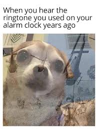 Traumatic R Memes Know Your Meme