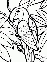 Dschungel Malvorlagen Beste Malvorlagen Fur Kinder Animal Coloring Pages Animal Beste Coloring Malvorlagen Tiere Malvorlagen Malvorlagen Fur Kinder