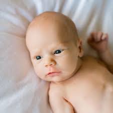 TOP 10 BEST Photography Galleries near Union Hill-Novelty Hill, WA