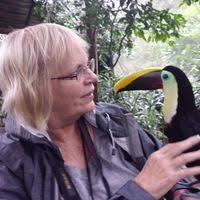 Places to Pee in the South : by Seth MacKenzie