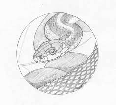 Garter Snake Design Animal Paintings Portrait Drawing Pet Portraits