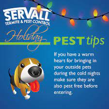 Servall pest control (servall termite & pest control murray, ky). Servall Pest Control Servallpest Twitter