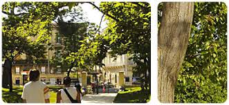 Check spelling or type a new query. Le Parc Clemenceau Ville De Montpellier