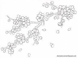 Gambar bunga sakura untuk diwarnai crayon pinterest crayons via pinterest.com. Ilmu Pengetahuan 1 Mewarnai Bunga Sakura