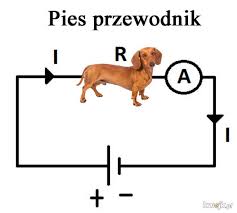 Masz przed sob najnowsz wersj oficjalnej aplikacji kwejka na urz . Nangungunang Limang Kwejk App