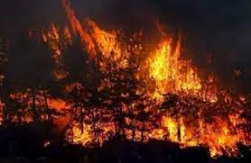 İlk olarak isparta belediye başkanı şükrü başdeğirmeni ziyaret eden özkaldı, başdeğirmen'den kentteki yatırımlar hakkında bilgi aldı. Uarsqksy0lskim