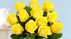 Maybe you would like to learn more about one of these? What Different Funeral Flowers Really Mean Expert Tips For Selecting The Proper Remembrance Arrangement