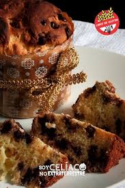 Pan Dulce Sin Tacc Guia Definitiva 2 Recetas Para Probar Trucos Receta Pan De Dulce Pan Dulce Casero Postres Con Pan
