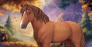For the new curly horse owner, attending to massive body curls compared to their straight haired horses can be a bit overwhelming. Curly Horse Jorvikipedia Fandom