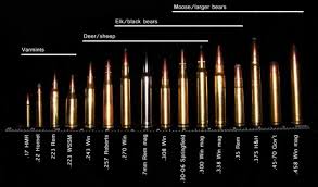 rod barrel bullet caliber chart for intended prey