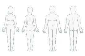 In humans, standard anatomical position is defined as standing up straight with the body at rest. Human Body Unlabeled Diagram Human Body Anatomy