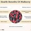 Health benefits of mulberries include their ability to improve digestion and eye health, lower cholesterol, aid in weight loss, boost immunity, and lower blood pressure. Https Encrypted Tbn0 Gstatic Com Images Q Tbn And9gcqvjrjkz9p7rmbhx1qkf6jflkw4o4lngs63e G3v8b7fb6wa7om Usqp Cau